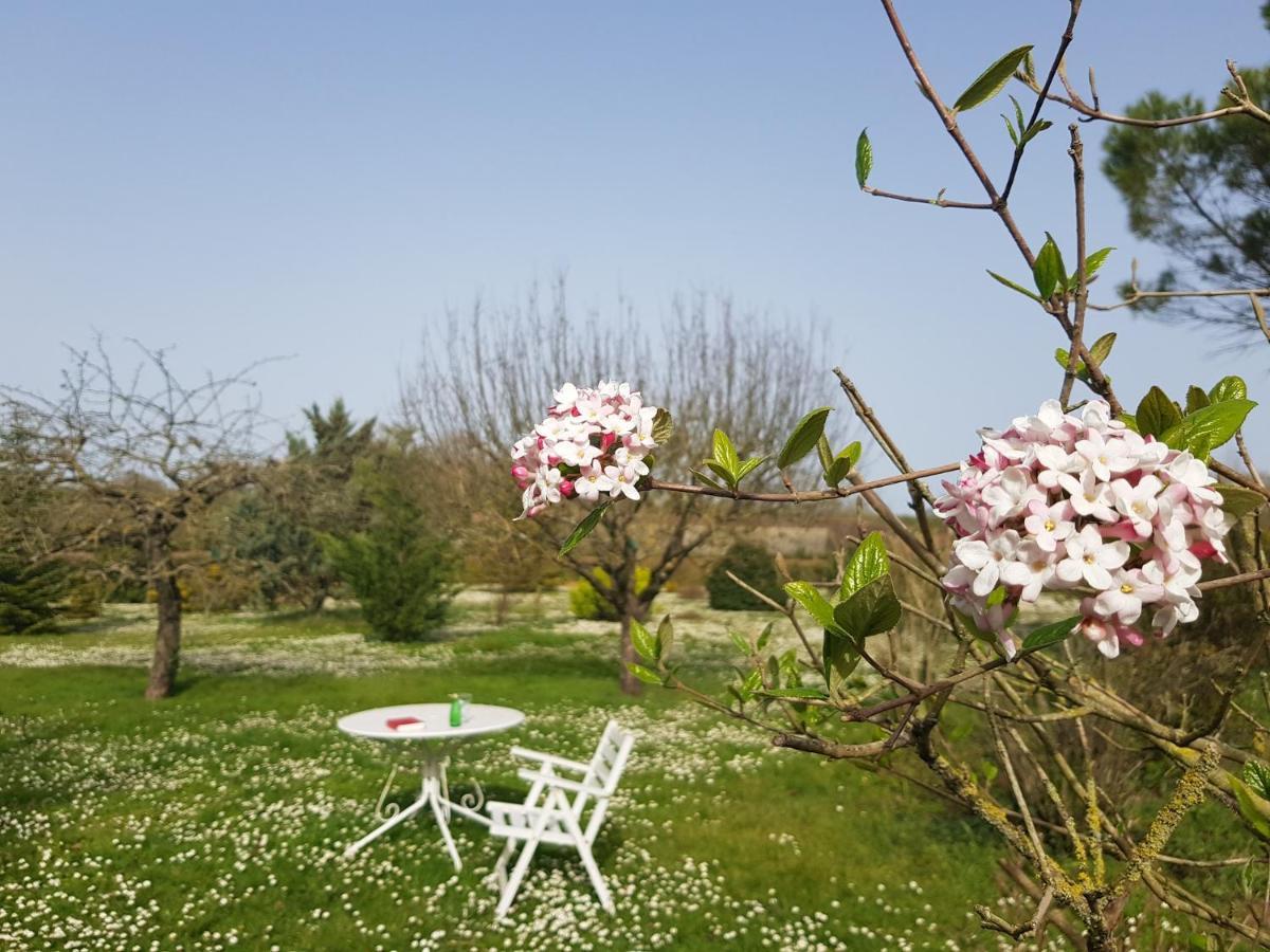 Domaine De Pelouaille - Chambre D'Hotes Saint-Jean-d'Angely Ngoại thất bức ảnh